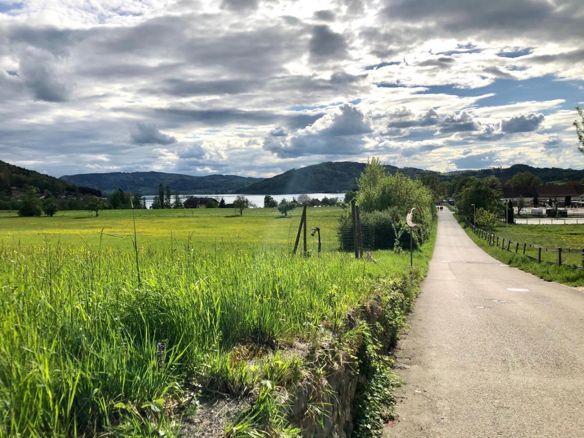 Danner Familien-Ferienwohnungen Schoerfling Am Attersee Kültér fotó